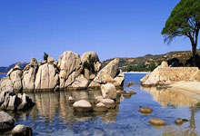 雷竞技-Doinb新星回归赛场表现惊艳，独行侠未来可期！的简单介绍